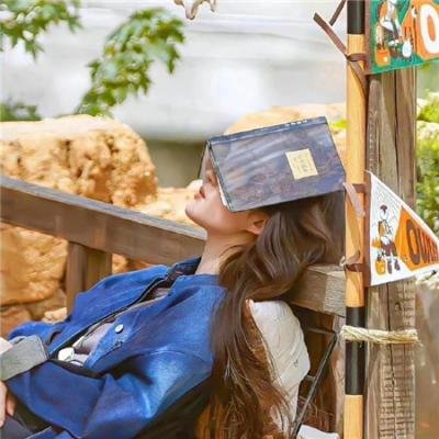 巅峰拍档第一季